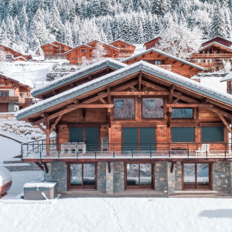 chalets auvergne rhone alpes