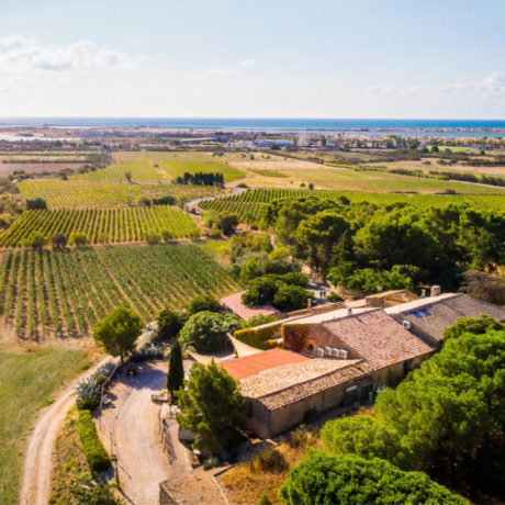 portfolio domaine viticole CA site ev5